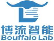 Bouffalo Lab (Nanjing) Co., Ltd.